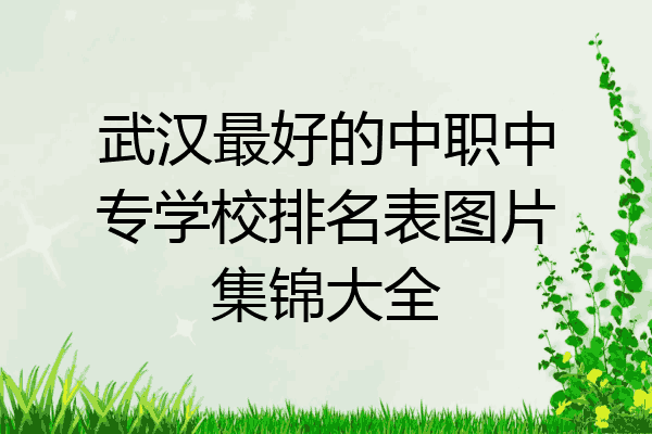 武汉最好的中职中专学校排名表图片集锦大全