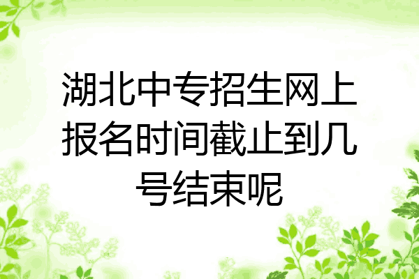 湖北中专招生网上报名时间截止到几号结束呢