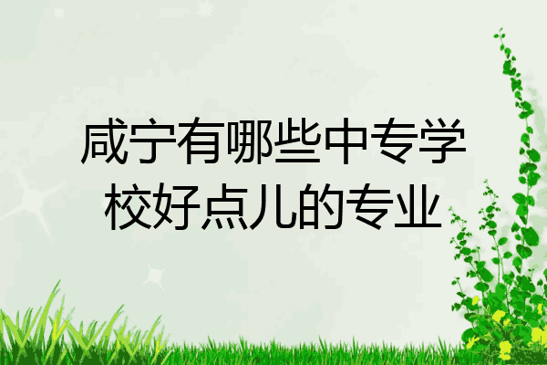 咸宁有哪些中专学校好点儿的专业