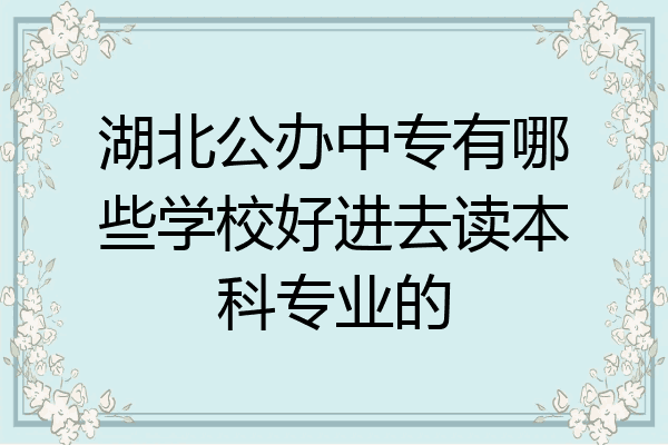 湖北公办中专有哪些学校好进去读本科专业的