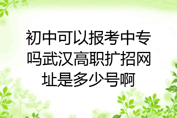 初中可以报考中专吗武汉高职扩招网址是多少号啊