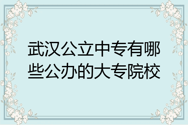 武汉公立中专有哪些公办的大专院校