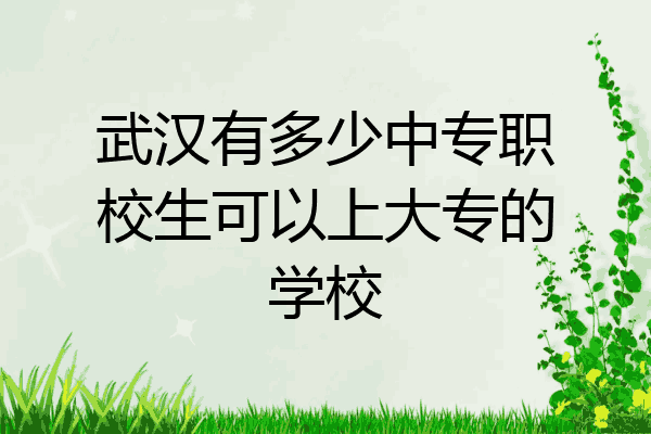 武汉有多少中专职校生可以上大专的学校