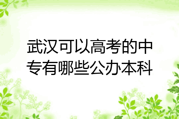 武汉可以高考的中专有哪些公办本科