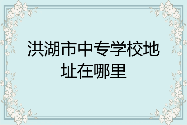 洪湖市中专学校地址在哪里