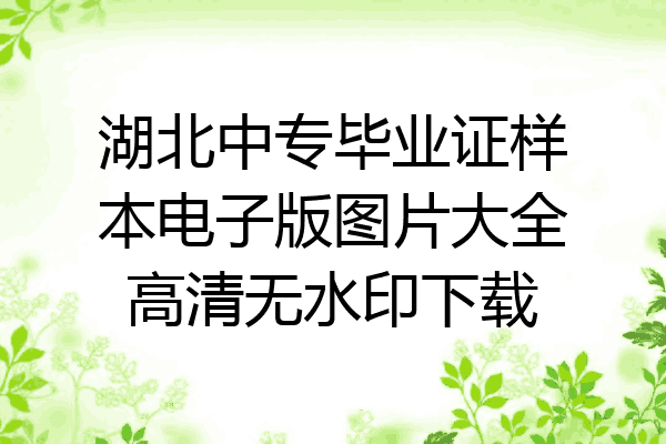 湖北中专毕业证样本电子版图片大全高清无水印下载