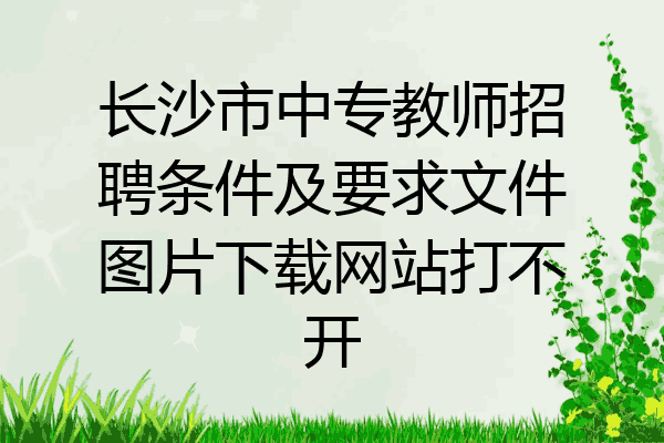 长沙市中专教师招聘条件及要求文件图片下载网站打不开