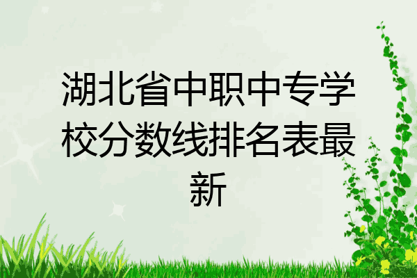 湖北省中职中专学校分数线排名表最新