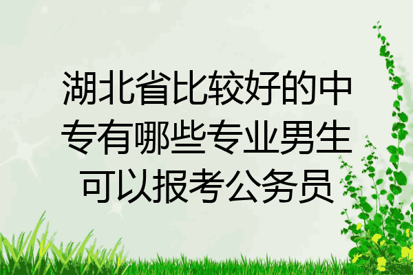 湖北省比较好的中专有哪些专业男生可以报考公务员