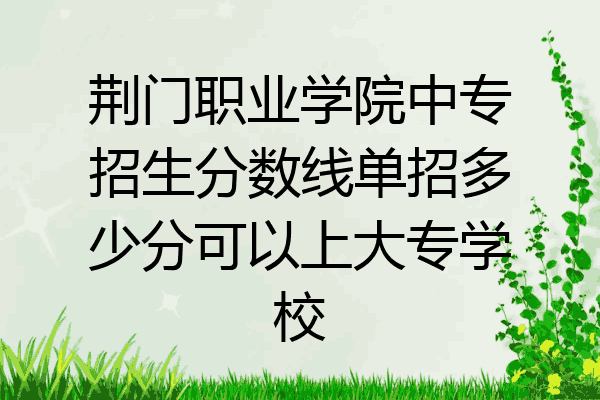 荆门职业学院中专招生分数线单招多少分可以上大专学校
