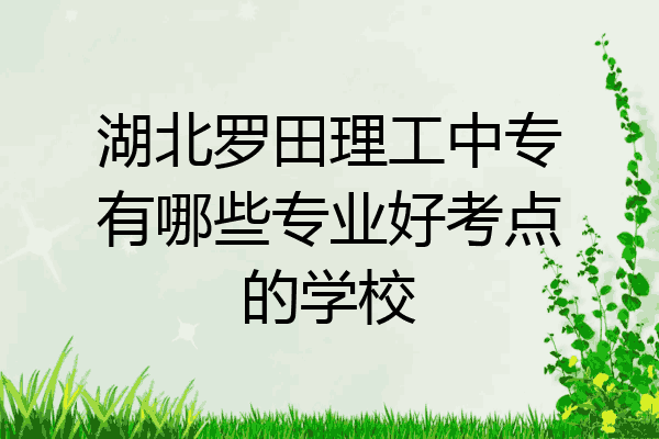 湖北罗田理工中专有哪些专业好考点的学校