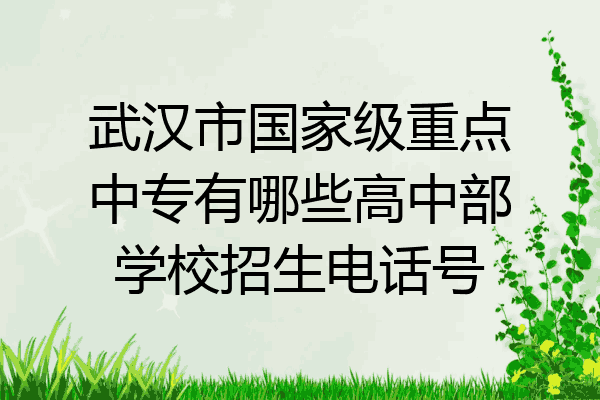 武汉市国家级重点中专有哪些高中部学校招生电话号