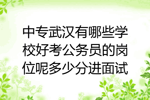 中专武汉有哪些学校好考公务员的岗位呢多少分进面试
