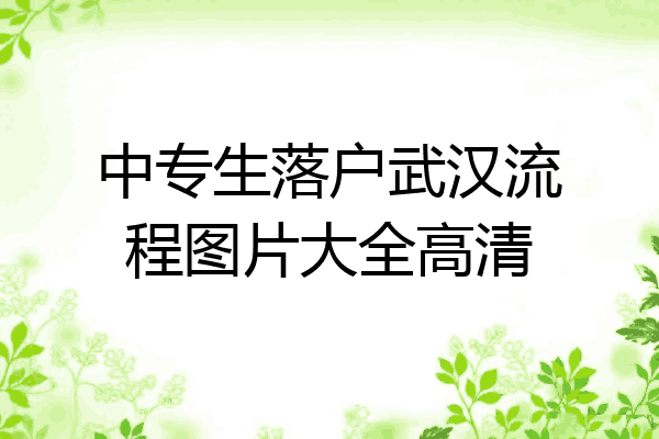 中专生落户武汉流程图片大全高清