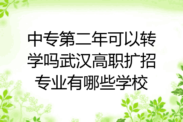 中专第二年可以转学吗武汉高职扩招专业有哪些学校