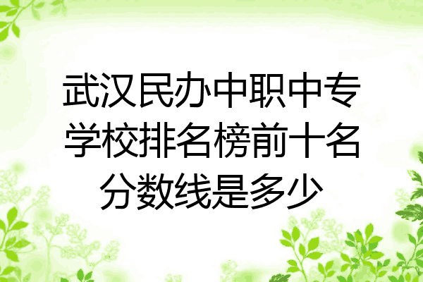 武汉民办中职中专学校排名榜前十名分数线是多少