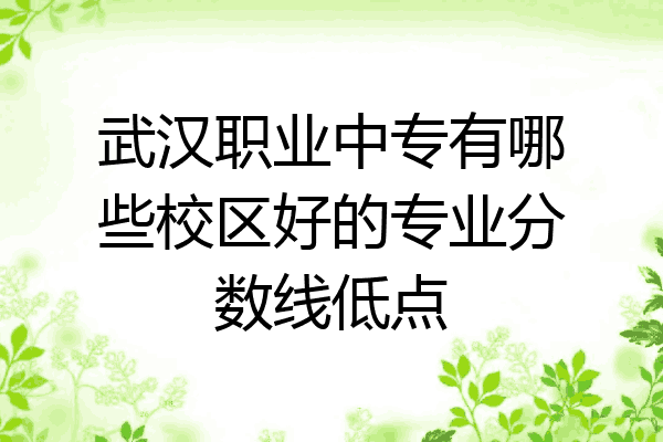 武汉职业中专有哪些校区好的专业分数线低点