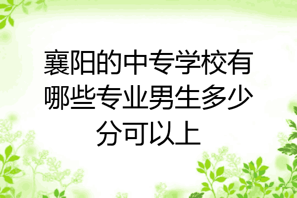 襄阳的中专学校有哪些专业男生多少分可以上