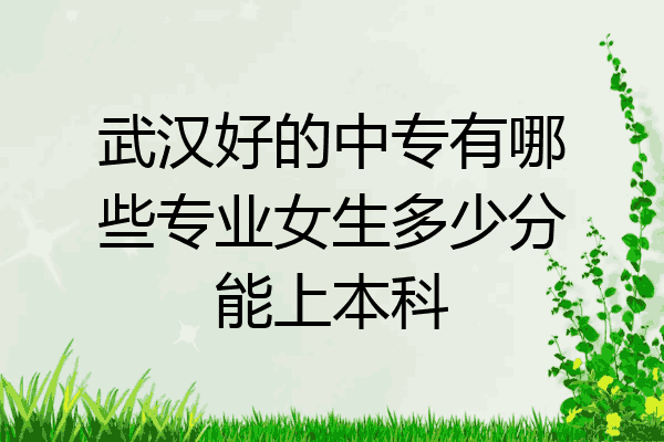 武汉好的中专有哪些专业女生多少分能上本科