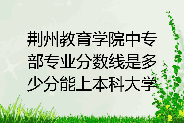 荆州教育学院中专部专业分数线是多少分能上本科大学