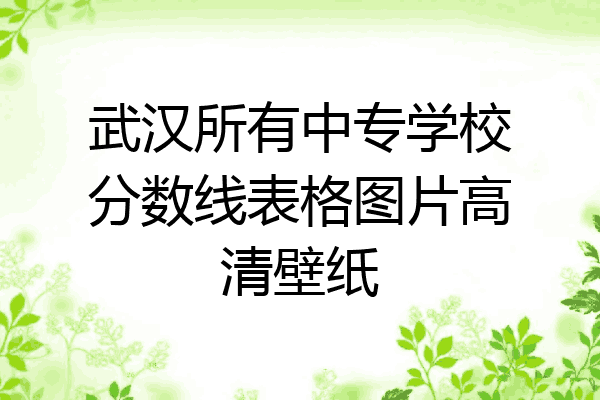武汉所有中专学校分数线表格图片高清壁纸