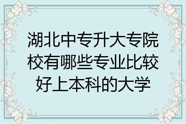 湖北中专升大专院校有哪些专业比较好上本科的大学