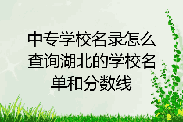 中专学校名录怎么查询湖北的学校名单和分数线