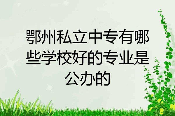 鄂州私立中专有哪些学校好的专业是公办的