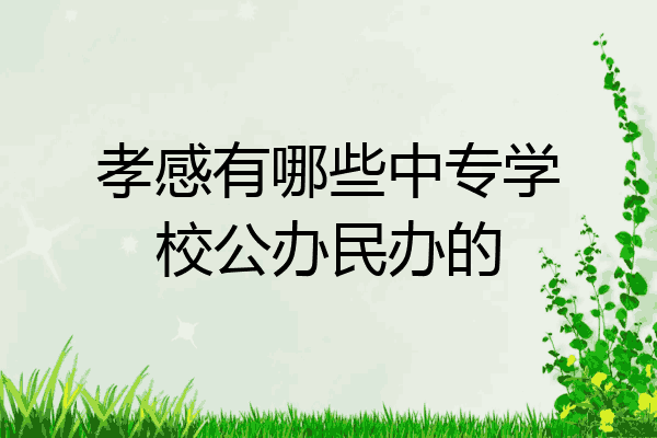 孝感有哪些中专学校公办民办的
