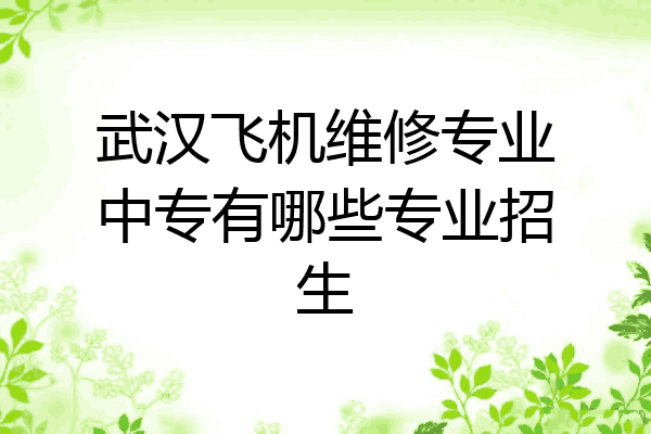 武汉飞机维修专业中专有哪些专业招生