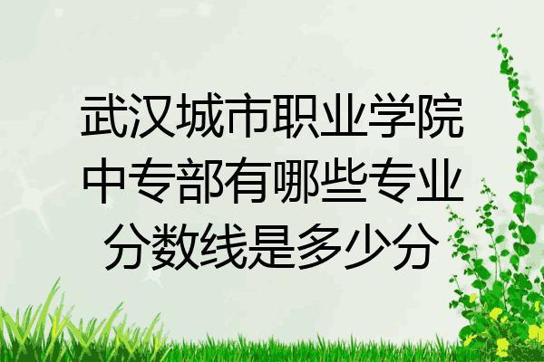 武汉城市职业学院中专部有哪些专业分数线是多少分