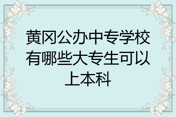 黄冈公办中专学校有哪些大专生可以上本科