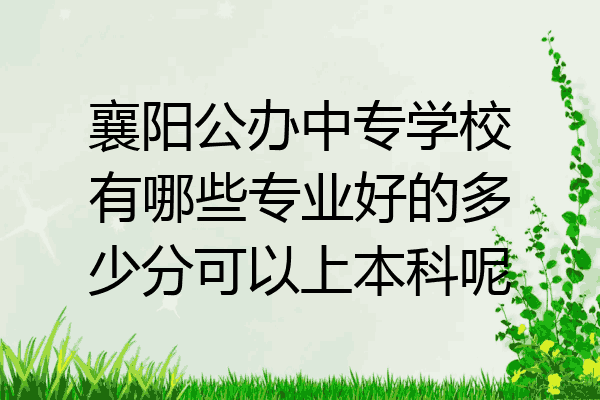 襄阳公办中专学校有哪些专业好的多少分可以上本科呢