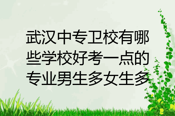 武汉中专卫校有哪些学校好考一点的专业男生多女生多