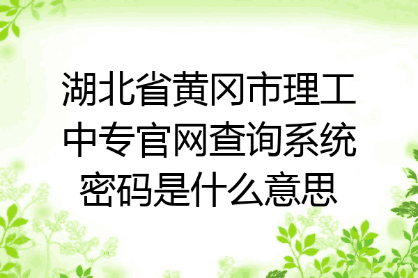 湖北省黄冈市理工中专官网查询系统密码是什么意思