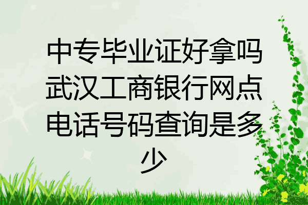 中专毕业证好拿吗武汉工商银行网点电话号码查询是多少