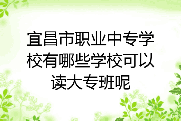 宜昌市职业中专学校有哪些学校可以读大专班呢