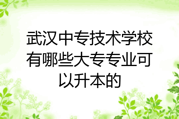 武汉中专技术学校有哪些大专专业可以升本的