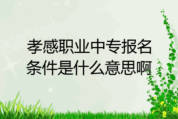 孝感职业中专报名条件是什么意思啊