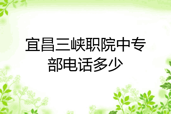 宜昌三峡职院中专部电话多少