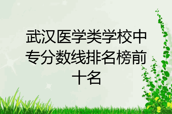 武汉医学类学校中专分数线排名榜前十名