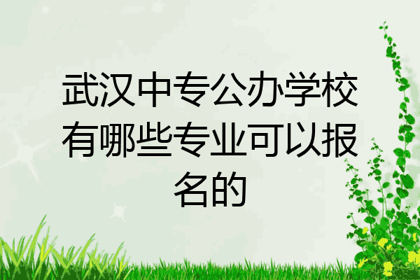 武汉中专公办学校有哪些专业可以报名的