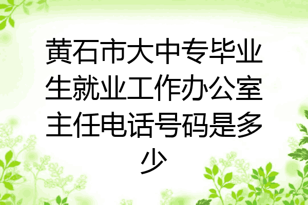 黄石市大中专毕业生就业工作办公室主任电话号码是多少
