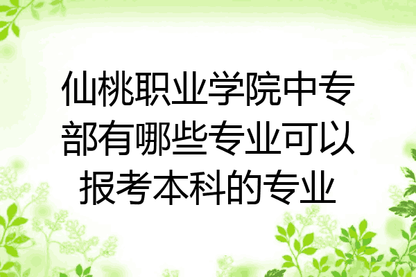 仙桃职业学院中专部有哪些专业可以报考本科的专业