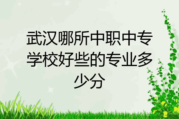 武汉哪所中职中专学校好些的专业多少分