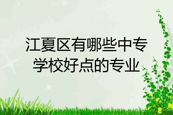 江夏区有哪些中专学校好点的专业