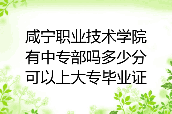 咸宁职业技术学院有中专部吗多少分可以上大专毕业证