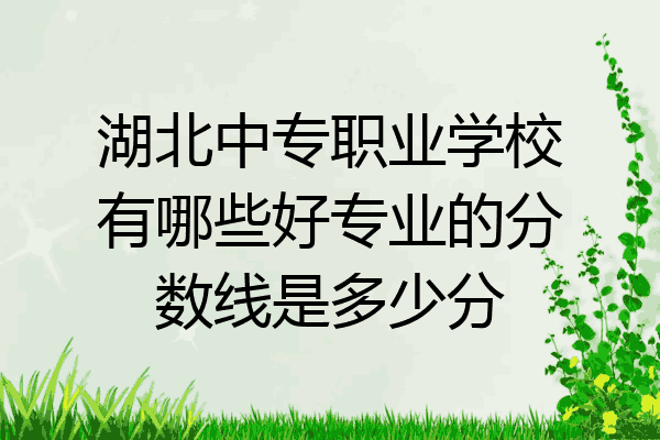 湖北中专职业学校有哪些好专业的分数线是多少分