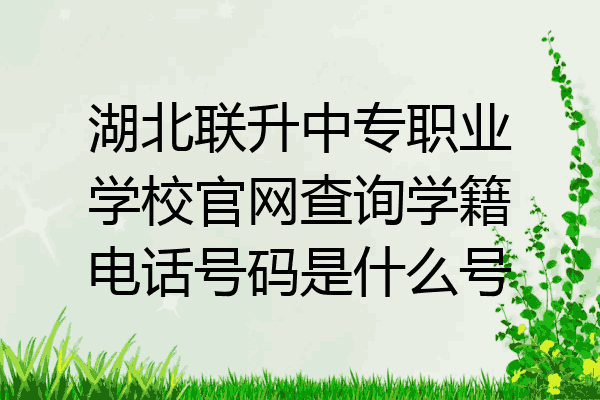 湖北联升中专职业学校官网查询学籍电话号码是什么号