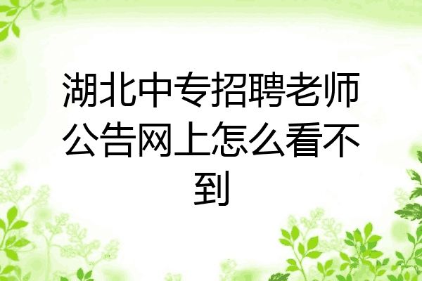 湖北中专招聘老师公告网上怎么看不到